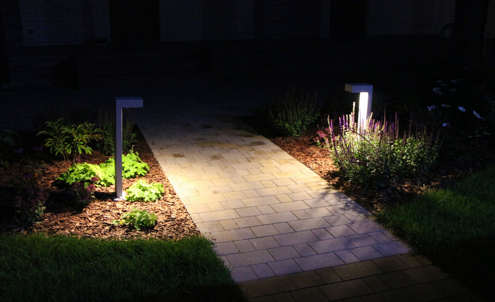 Петровское, ночной сад, 2018-2020 гг.