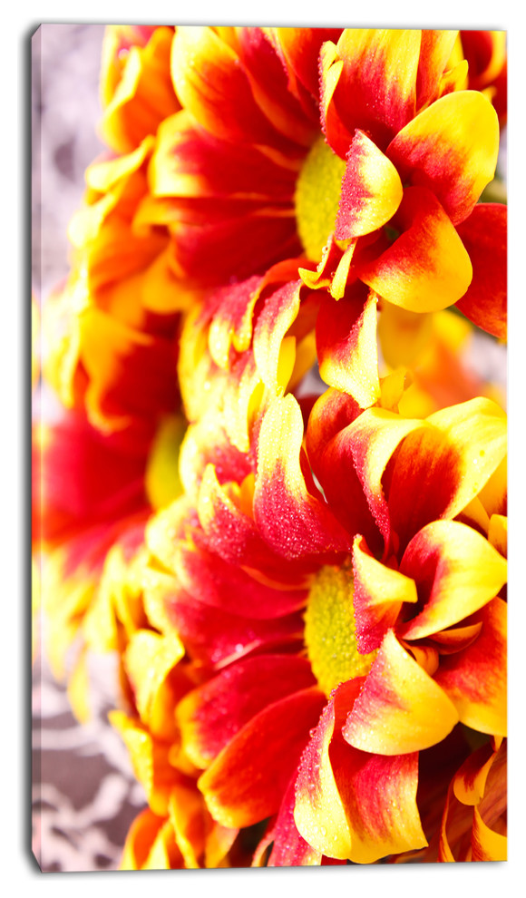 Red Yellow Flower Background Photo, Large Floral Canvas Artwork, 16"x32