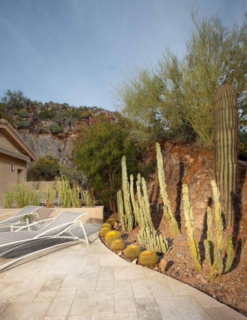 Hillside Landscape trendy-have