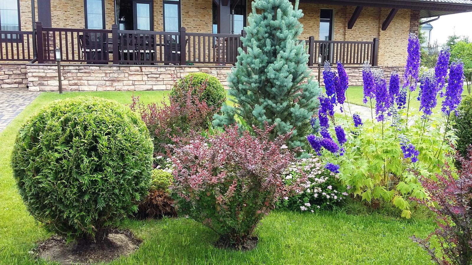 кп "Папушево" - Профессиональный уход за садом - 100% качество!