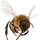 Orta's Professional Pest Control
