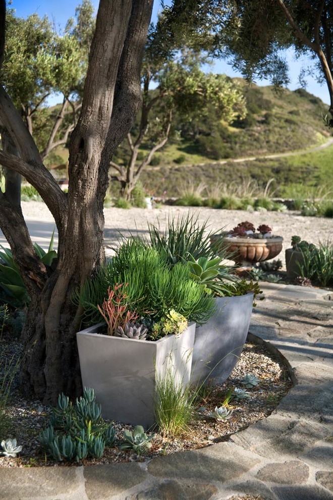 Inspiration for a country patio in Santa Barbara.