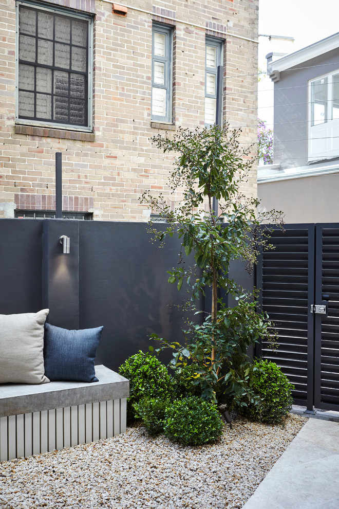 Inspiration for a small contemporary courtyard formal garden in Sydney with gravel.