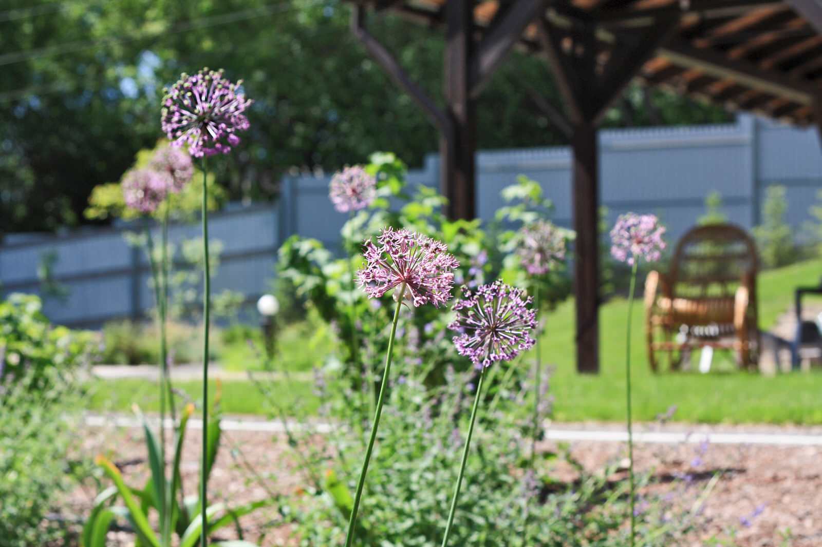 Сад Кандинский