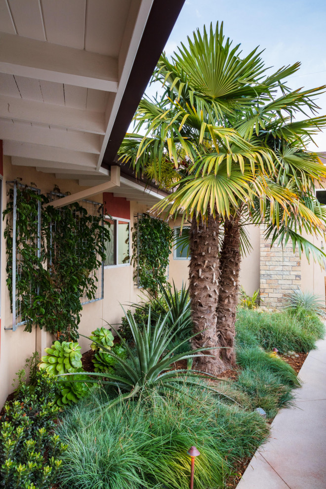 Photo of a small mid-century modern landscaping in Santa Barbara.