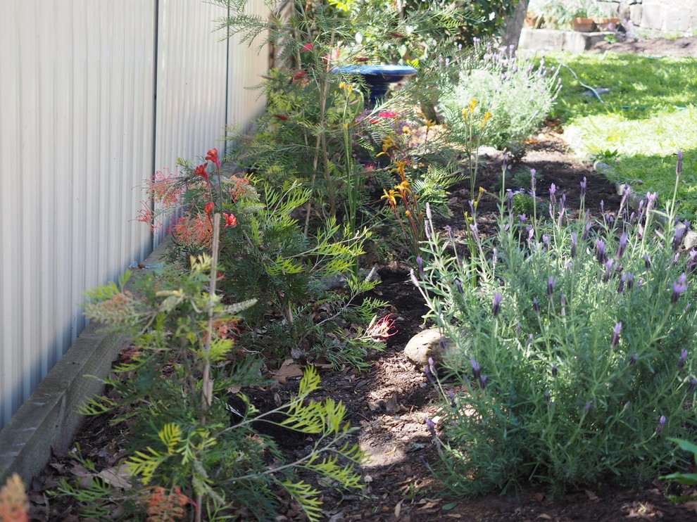 Eclectic backyard xeriscape in Melbourne with a vegetable garden.