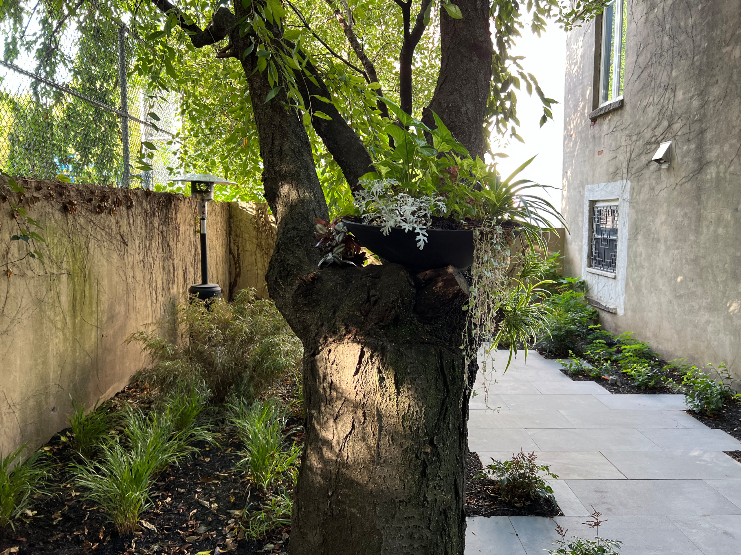 Modern Urban Shade Garden