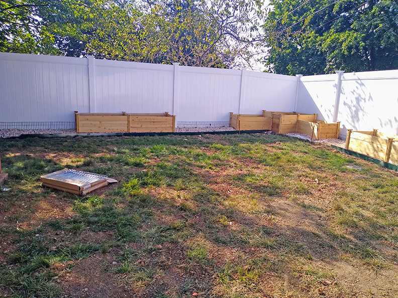 Got a 4x4' raised cedar bed, next to a 6' privacy fence. Shrub ideas?