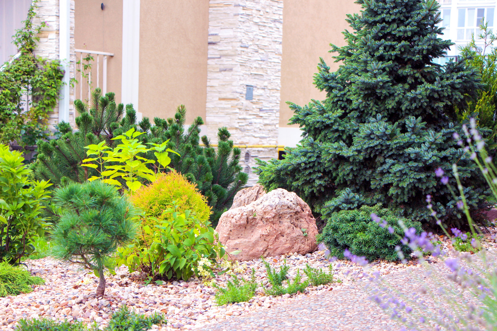 Новые Вешки, 2016