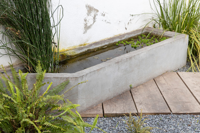 ZZ garden