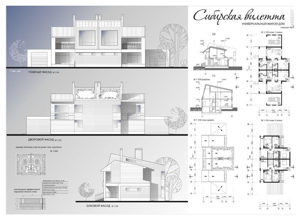Сибирская вилета