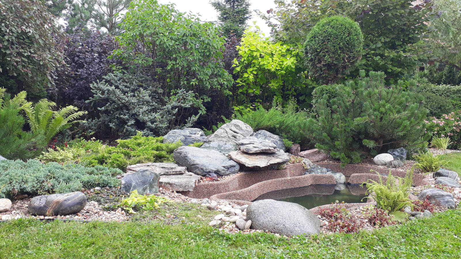 Мини-пруд Королев