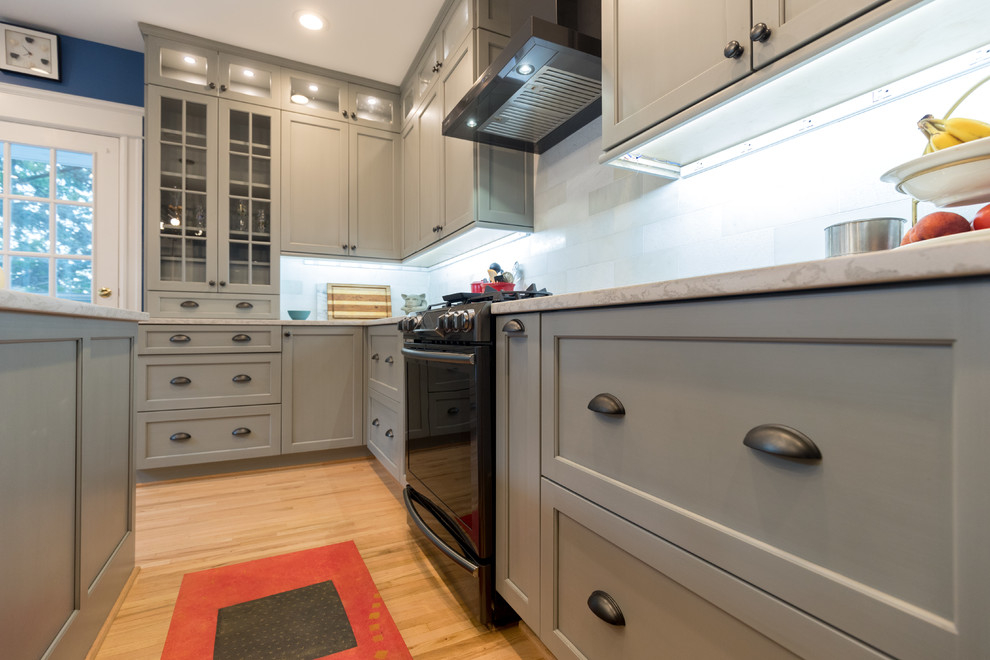 Kitchen - transitional kitchen idea in DC Metro