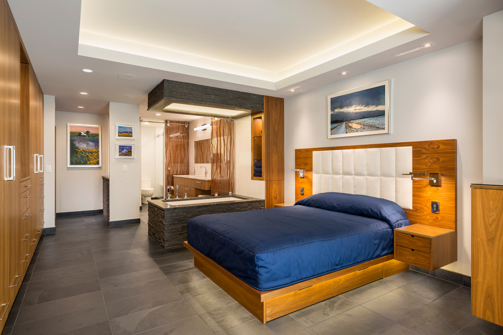 Источник вдохновения для домашнего уюта: хозяйская спальня среднего размера в современном стиле с серыми стенами, полом из сланца, серым полом и многоуровневым потолком