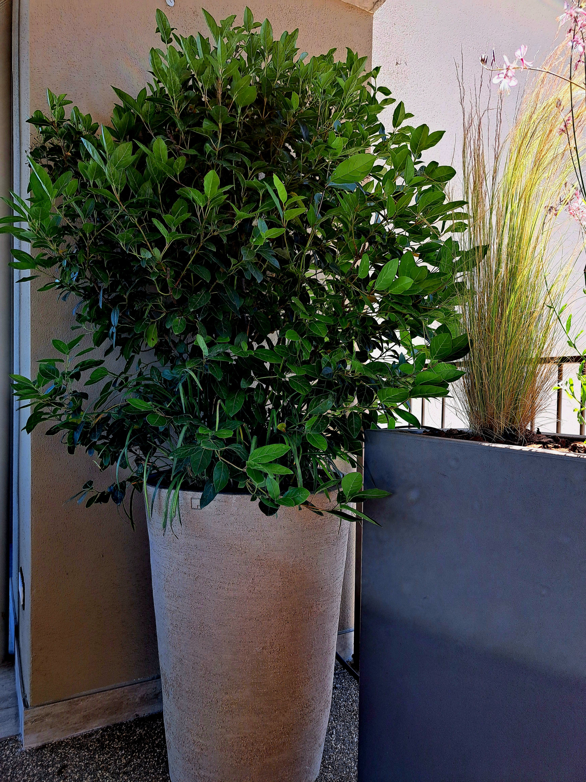 Realizzazione fioriere e vasi per un terrazzo sempreverde (o quasi)