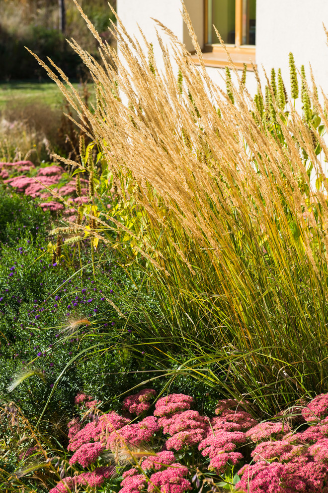 Большой сад в пригороде
