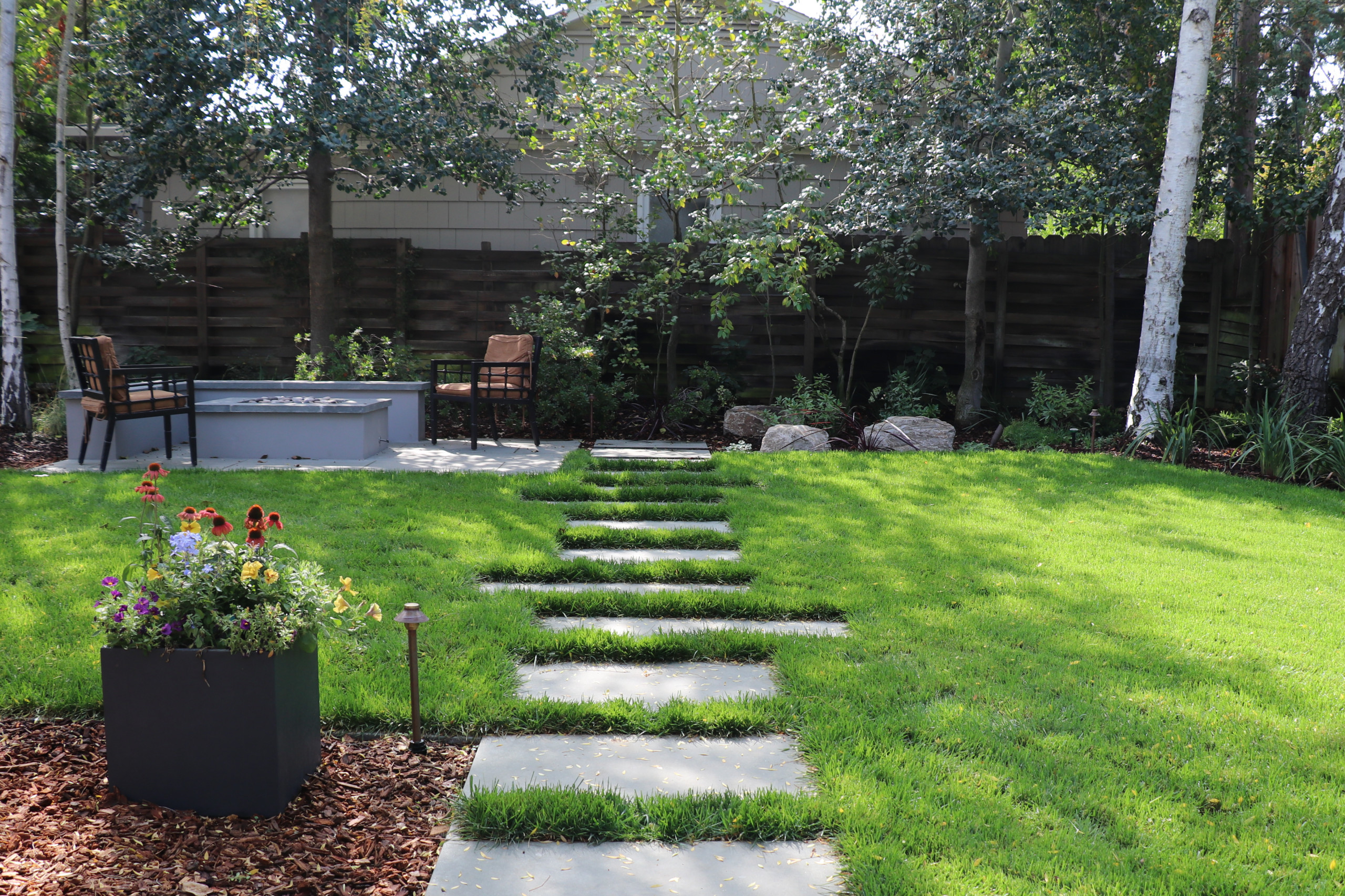 SWEDISH FLAME IN WOODS