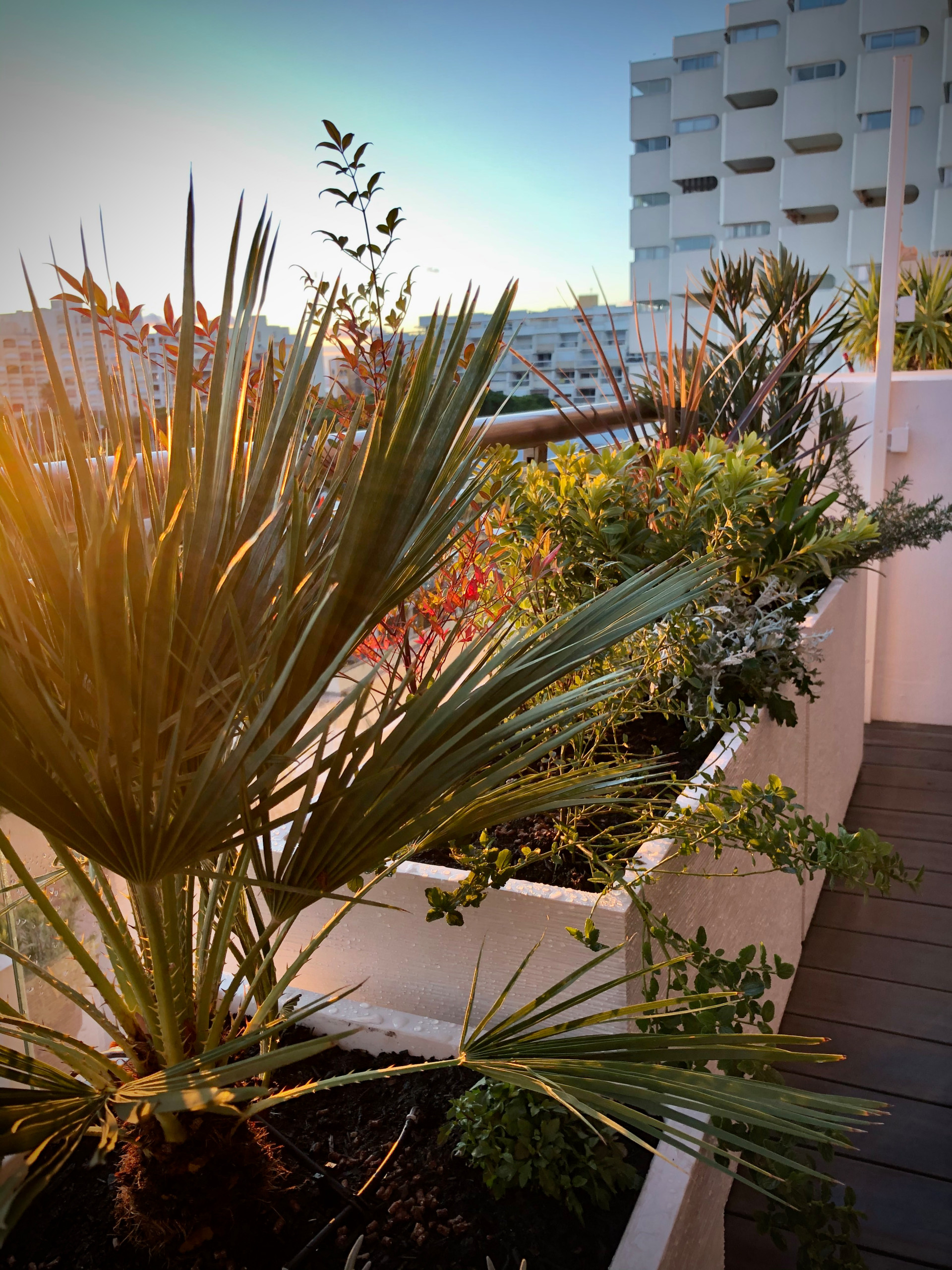 Aménagement d'une terrasse à Carnon (34)