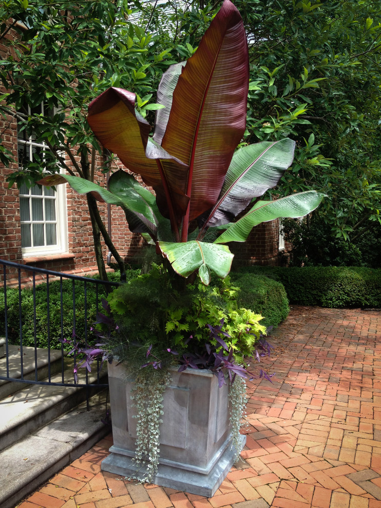 Photo of a traditional landscaping in Columbus.