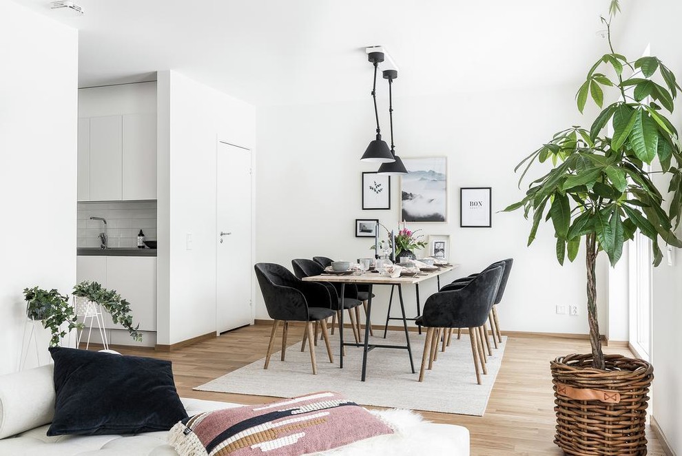 Inspiration for a mid-sized scandinavian open plan dining in Other with white walls, medium hardwood floors, no fireplace and brown floor.