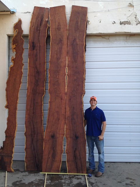 Natural Edge Slabs for Sale