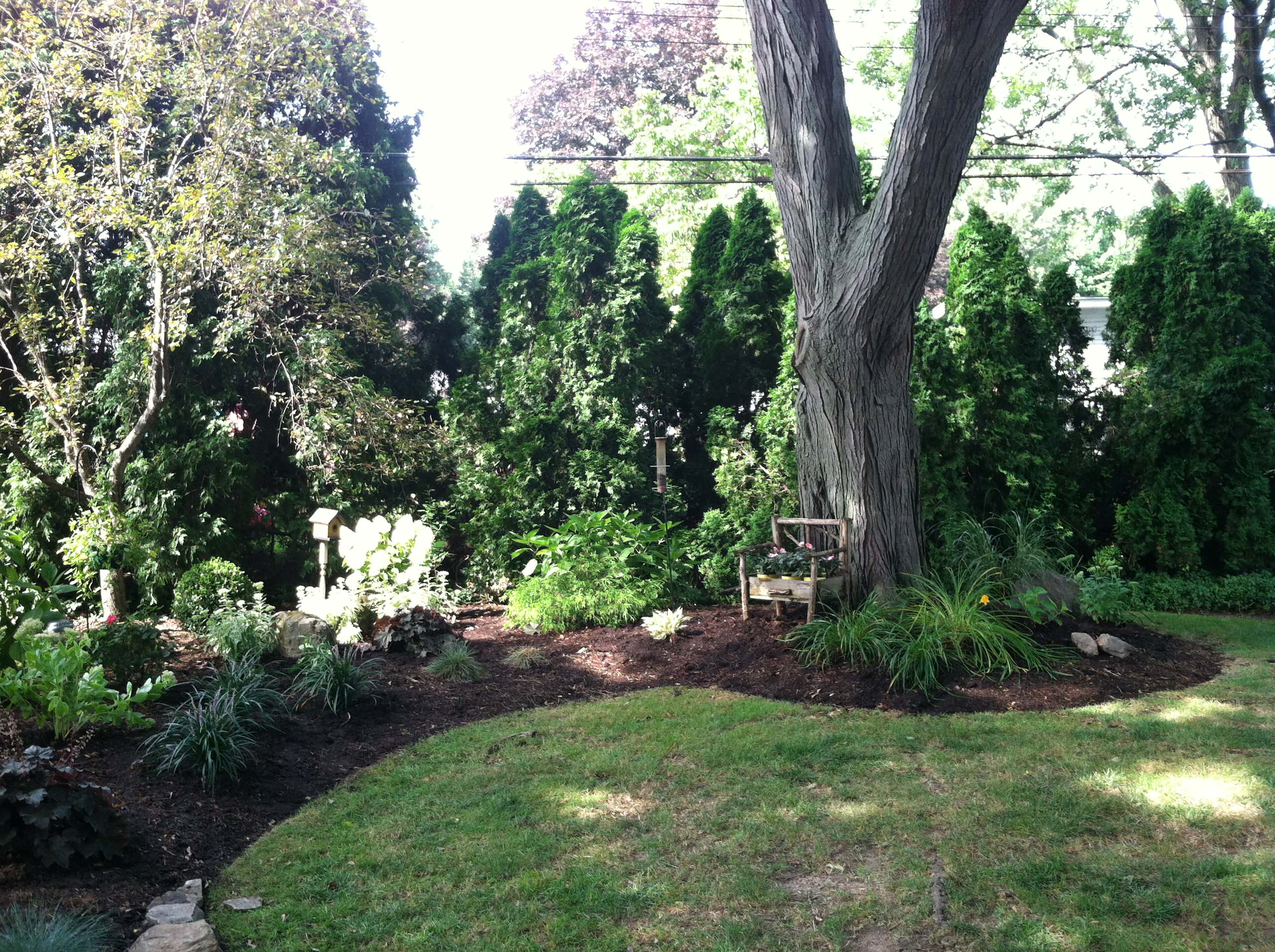 Fernwood Lane