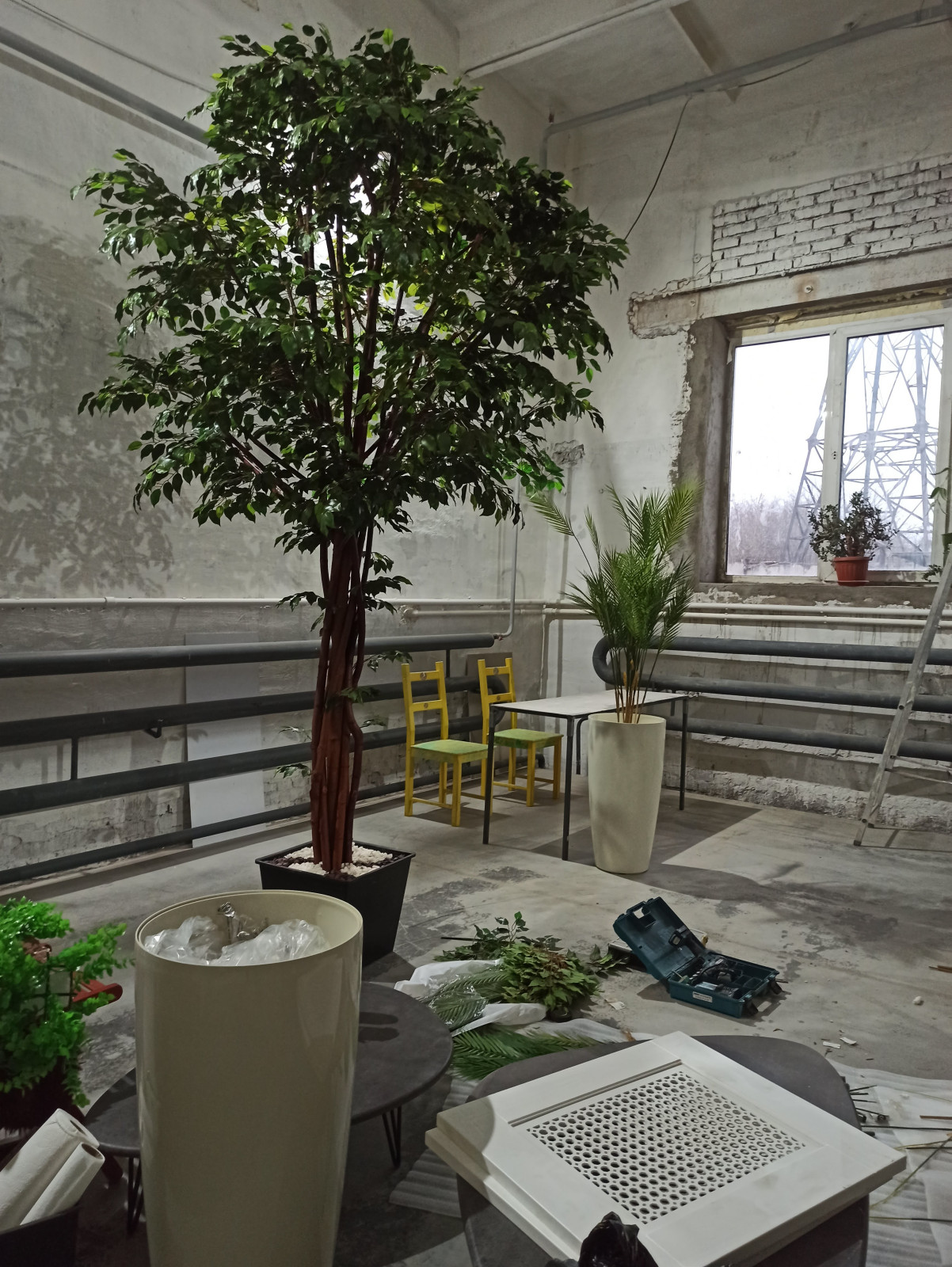 Крупномерные деревья для МармеладЛэнд