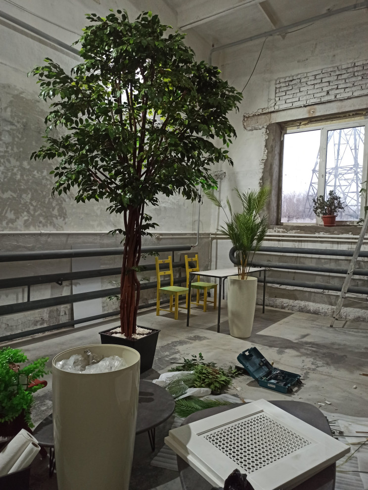 Крупномерные деревья для МармеладЛэнд