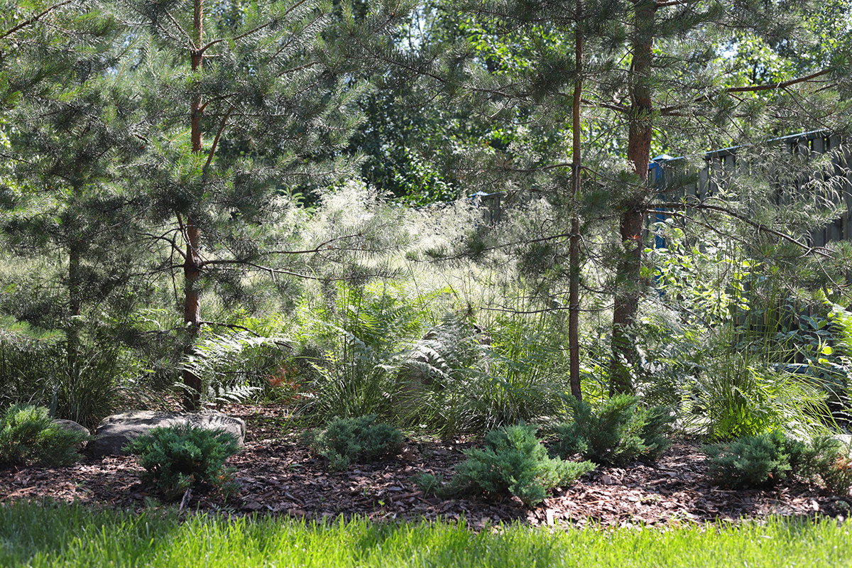 Солнечный берег