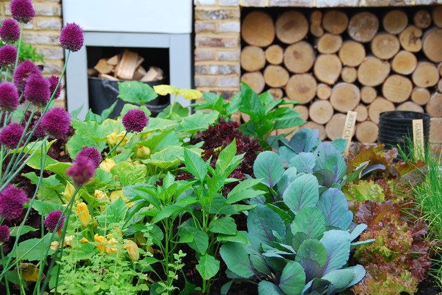 Kitchen Gardens - Scandinavian - Garden - London - by Karen Rogers at