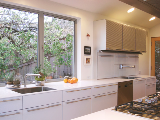 Berkeley Hills contemporary-kitchen