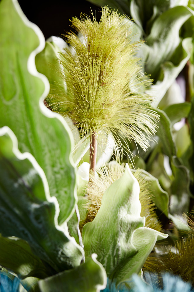 Цветы COTE TABLE