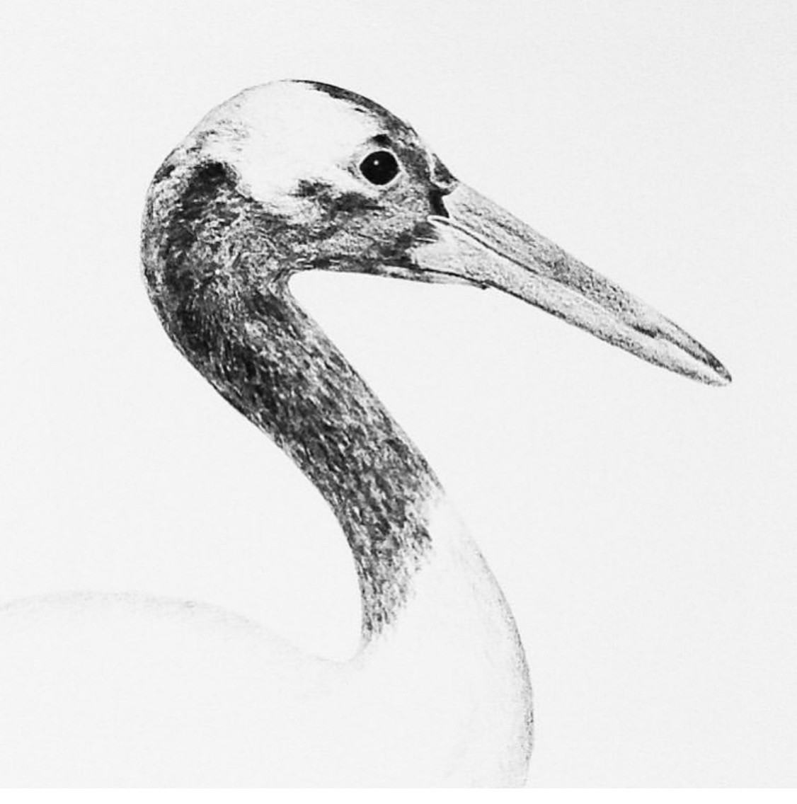The Art of Drawing - Commissions Upon Request