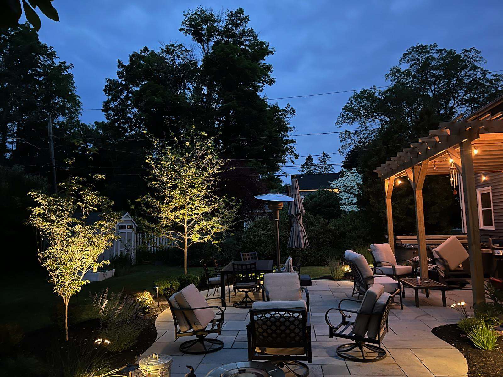 Total back yard transformation