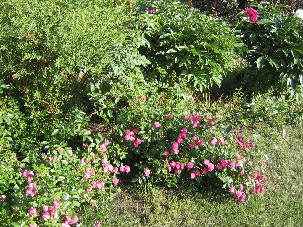 подготовка к сезону . Уход всесезонный