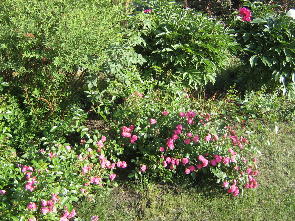 подготовка к сезону . Уход всесезонный