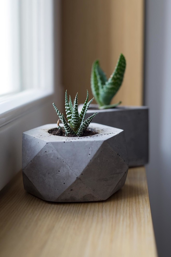 Славянский бульвар