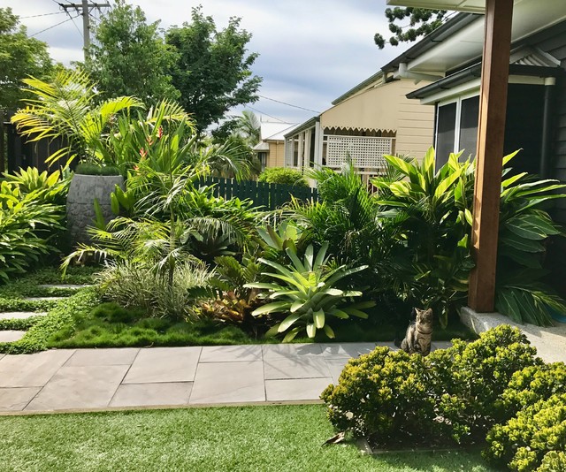 Indooroopilly Garden Brisbane by My Verandah Houzz AU