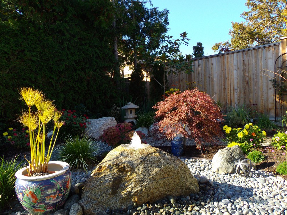 Photo of a mid-sized transitional drought-tolerant and shade backyard landscaping.