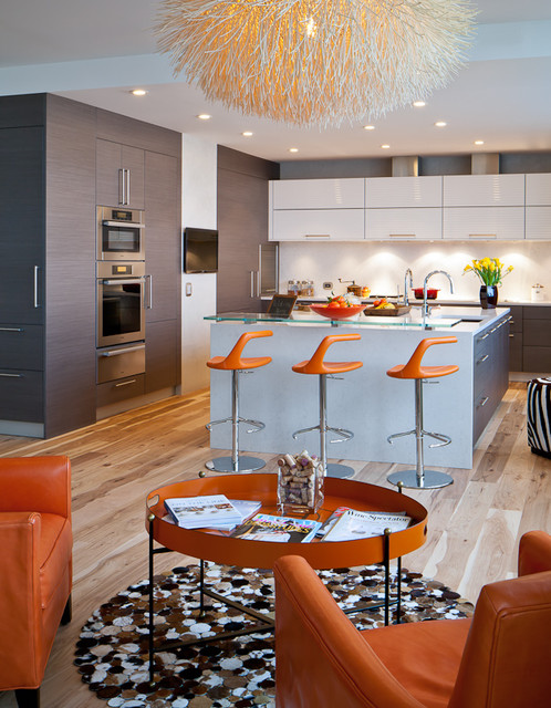 Millenium Project contemporary-kitchen