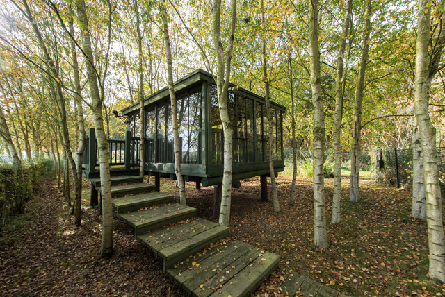 Tree House rustic-shed