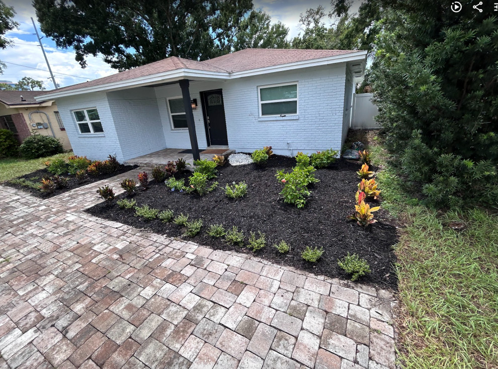 Black Mulch and New Plants