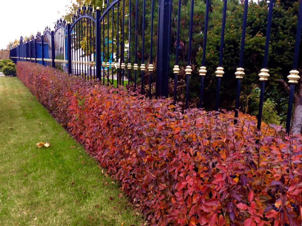 северный версаль