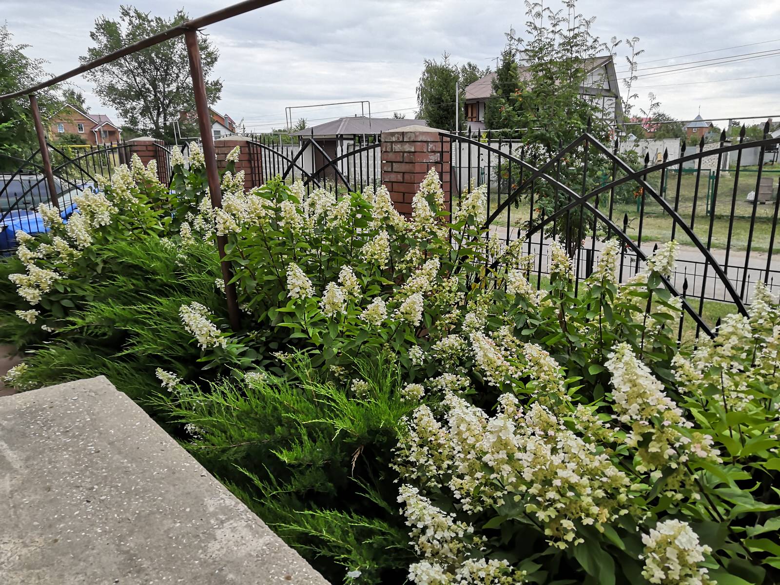 Сад на двух ярусах