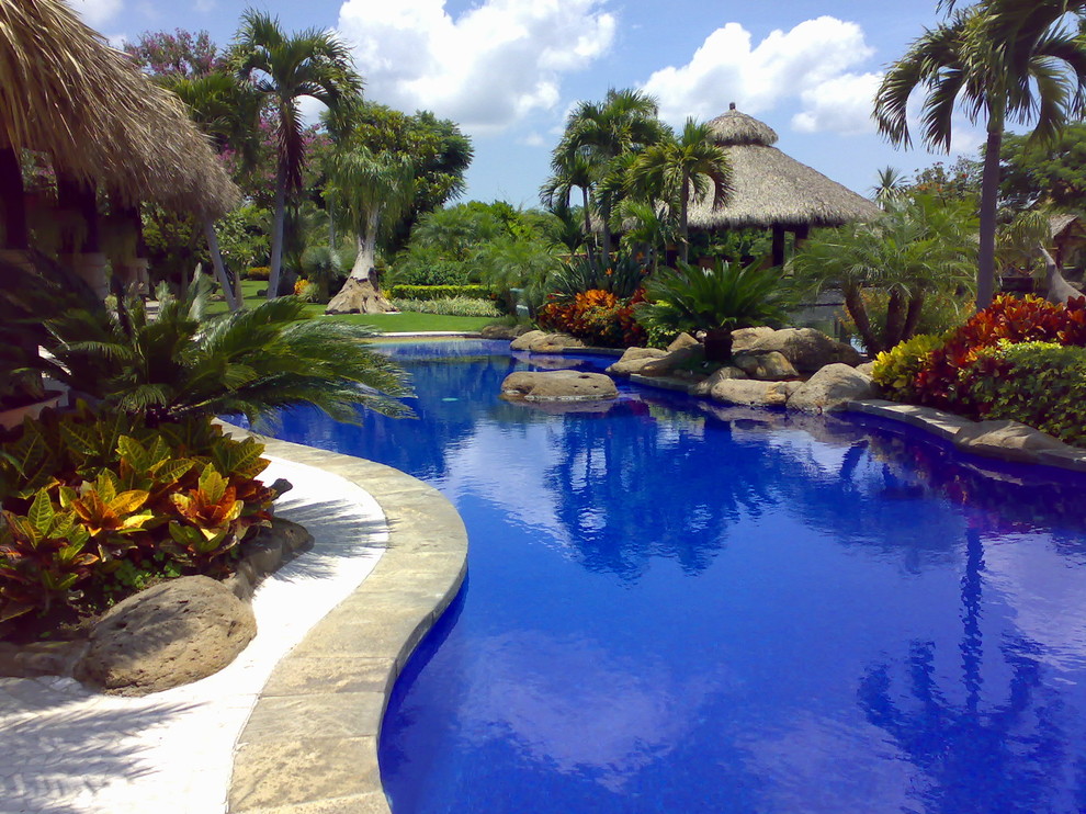 Photo of a tropical natural pool in Other with natural stone pavers.
