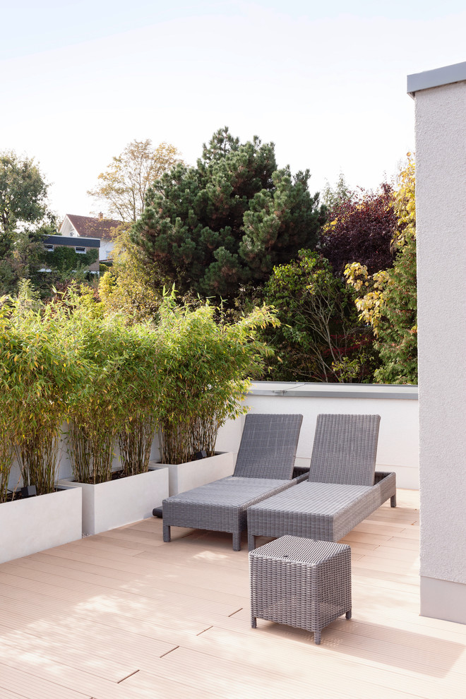 This is an example of a mid-sized contemporary rooftop and rooftop deck in Frankfurt with a container garden and no cover.