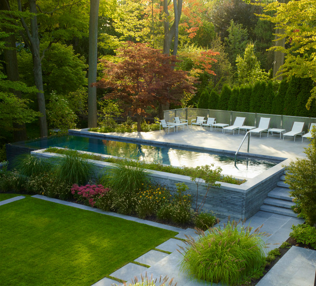 Ravine 1 contemporary-swimming-pool-and-hot-tub