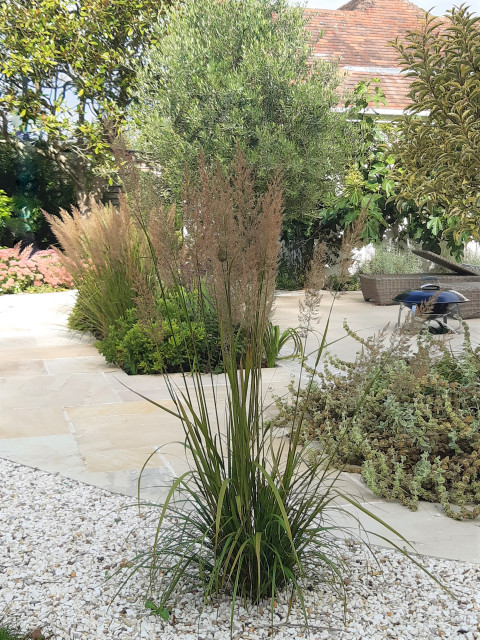 Mediterranean terrace mediterranean-garden