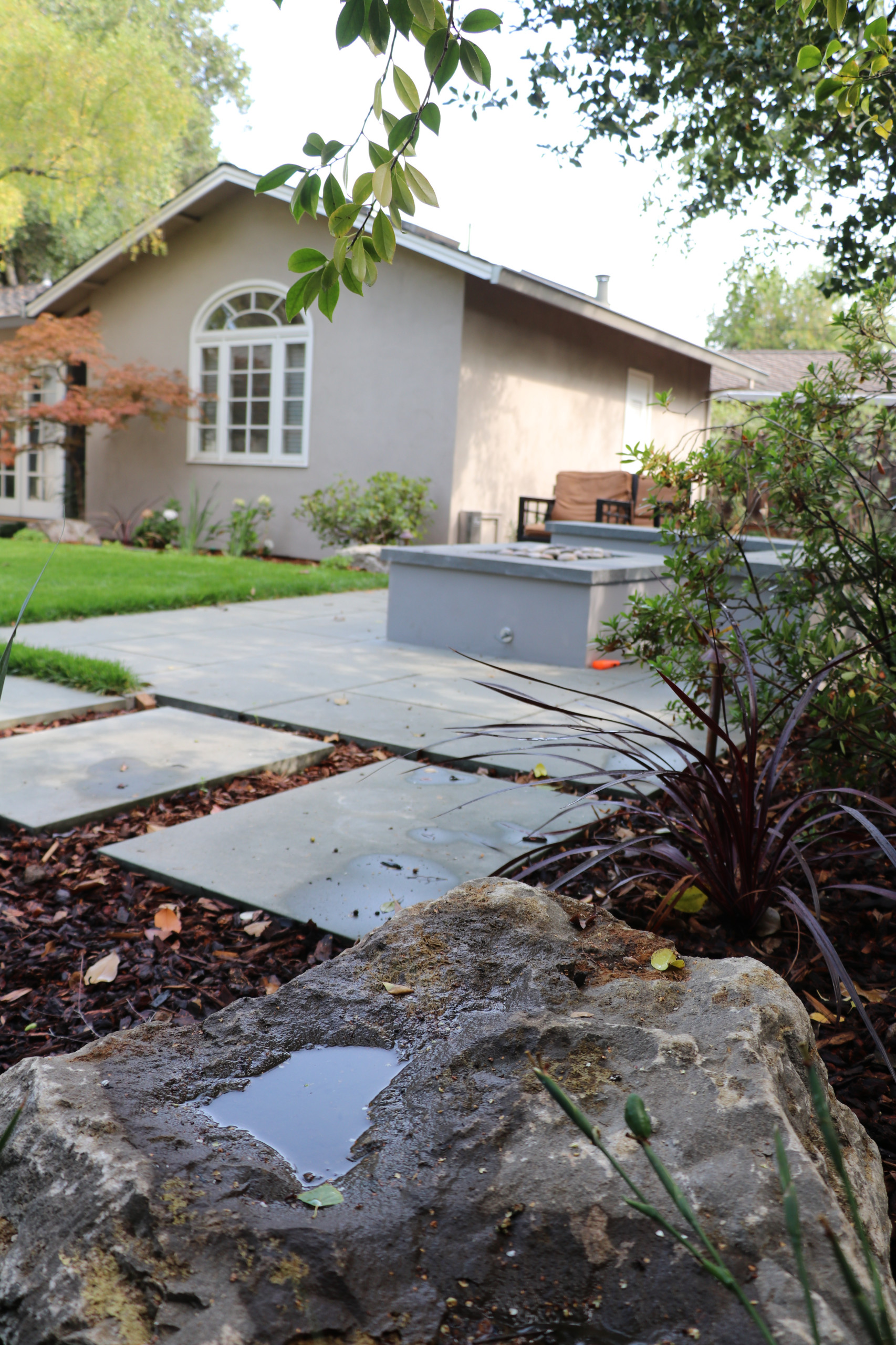 SWEDISH FLAME IN WOODS