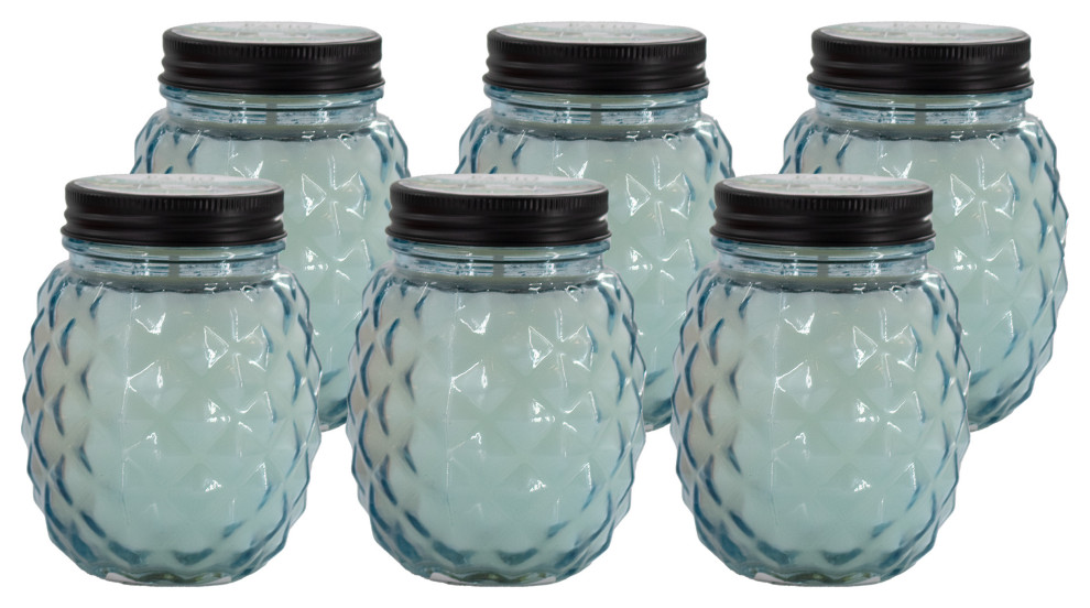 Patio Essentials 9 oz. Glass Pineapple Citronella and Lemongrass Candle, 6-Pack